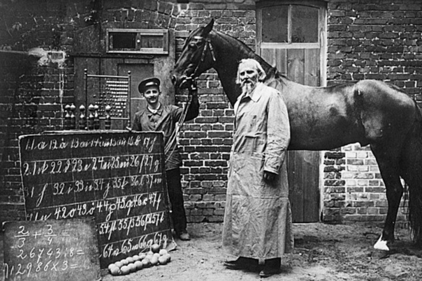 Dahi Bir At: Akıllı Hans